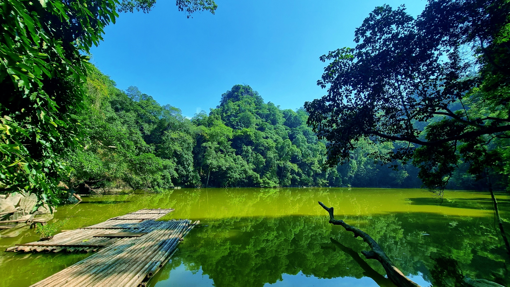 Kayaking on calm emerald lake surrounded by jungle