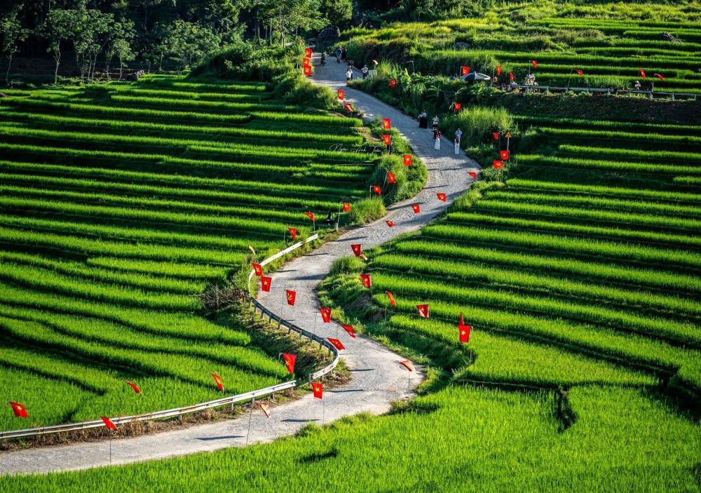 Pu Luong Golden Terraced Rice Valley and Limestone Peaks