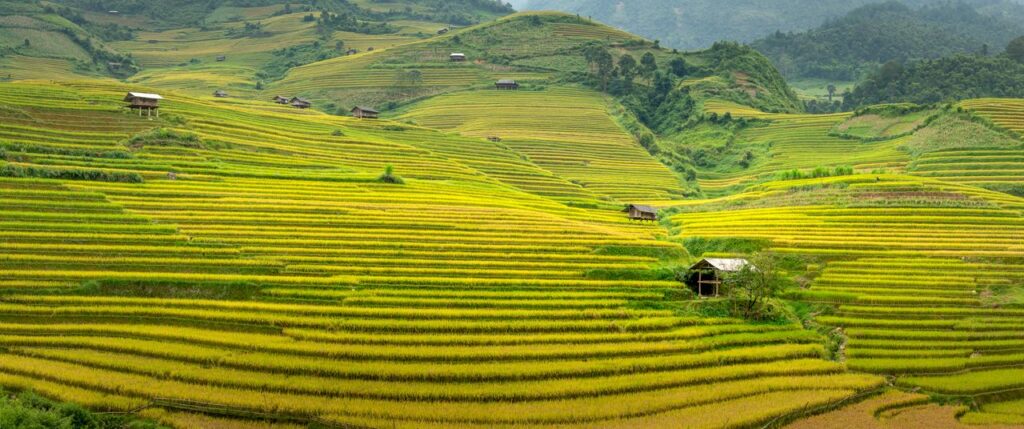 Picturesque scenery of green hills with wooden houses placed among rice plantations located in countryside in daytime